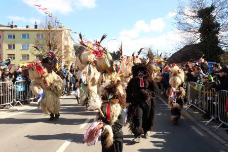 PUSTNI KARNEVAL PUSTOLETJE 33 FOTO LJUBO VUKELIČ